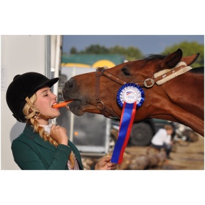 horse, girl, winner-934534.jpg