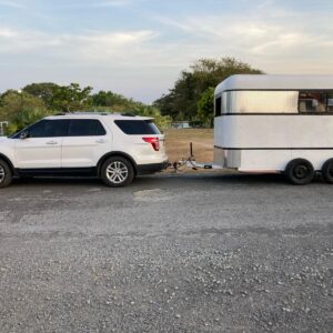 transporte equinos Panamá
